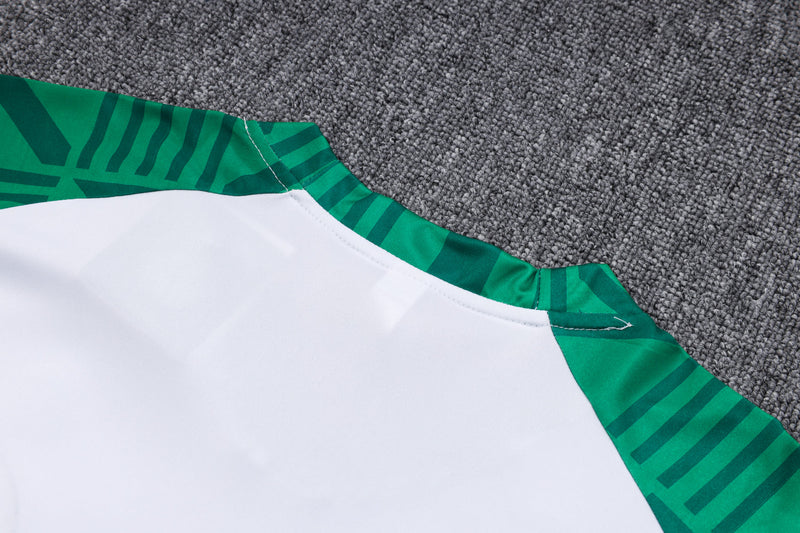 Kit Treino Palmeiras Camisa + Calça Puma Unissex - Verde e Branco