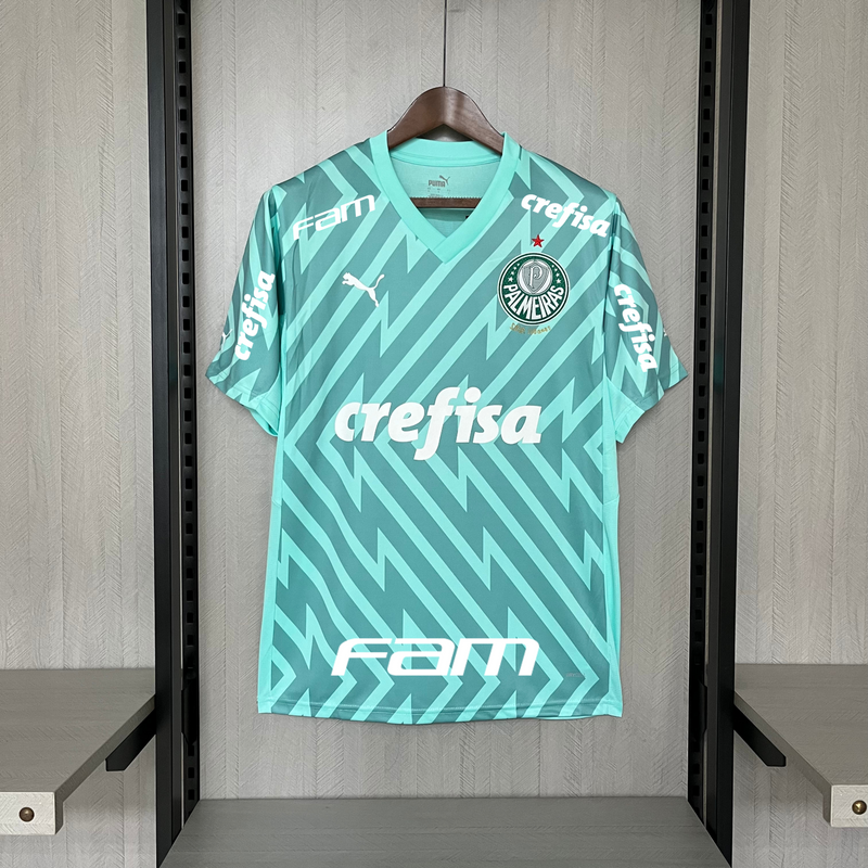 Palmeiras Goleiro 24/25 Todos os Patrocinadores Torcedor Puma Masculino - Verde Claro