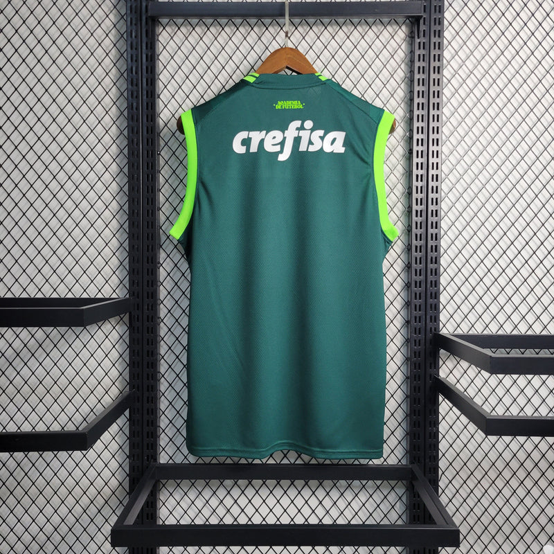 Palmeiras Home 23/24 Regata Torcedor Puma Masculino - Verde