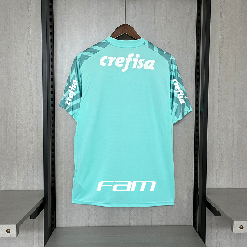 Palmeiras Goleiro 24/25 Todos os Patrocinadores Torcedor Puma Masculino - Verde Claro