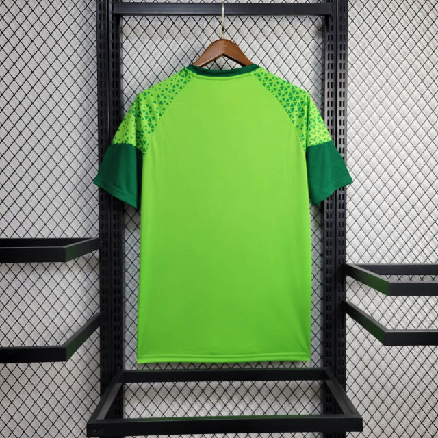 Palmeiras Treino 24/25 Torcedor Puma Masculino - Verde