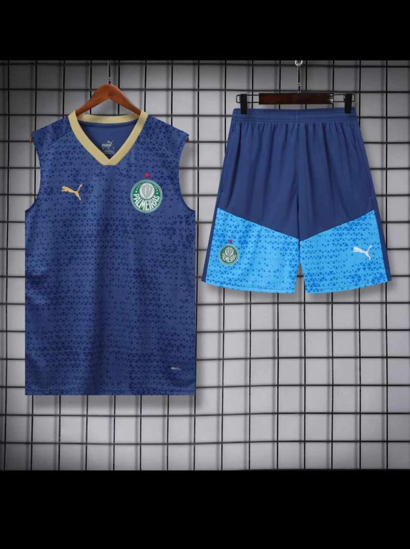 Kit Treino Regata + Shorts Palmeiras 24/25 Torcedor Puma Masculino - Azul