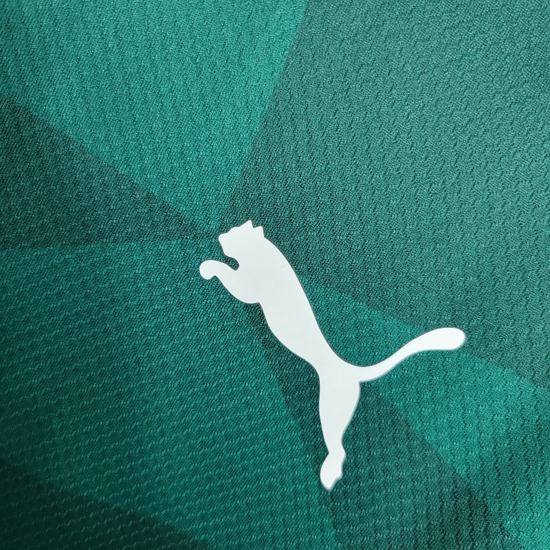 Palmeiras Home 23/24 Torcedor Puma Masculino - Verde