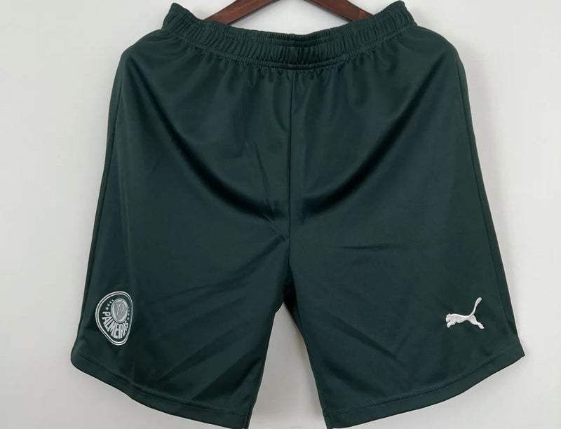 Shorts Palmeiras Away 23/24 Torcedor Puma Masculino - Verde