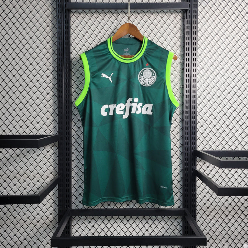 Palmeiras Home 23/24 Regata Torcedor Puma Masculino - Verde