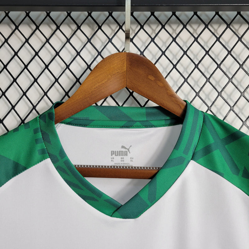 Palmeiras Treino 23/24 Torcedor Puma Masculino - Branca e Verde